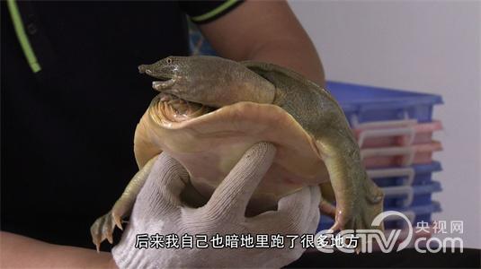 和父亲打擂台后的财富