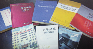 邹碧华的著作。