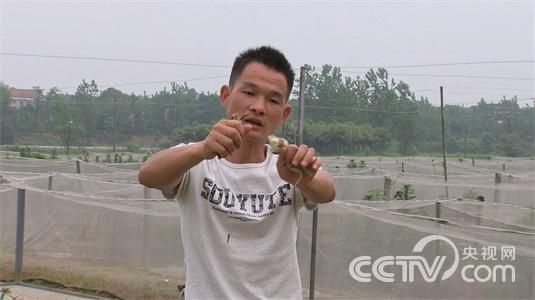 看电视以为天降良机之后