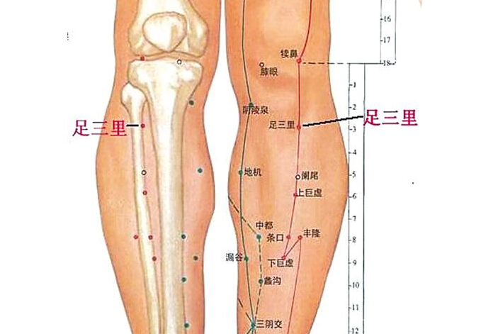 【冬病夏治好时机 三伏天7类体质人养生大不同】之气虚质_台海网络广播电视台