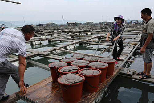 韩国留学生郑霓瑟化身“村姑”，运送鱼饲料