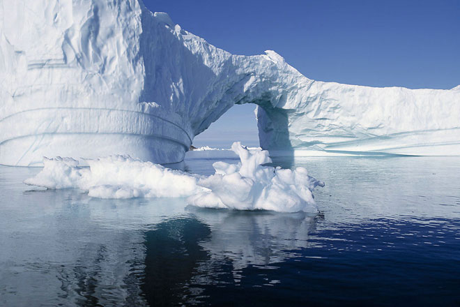 方便营养 参中情即食野生北极海参品鉴_品鉴频