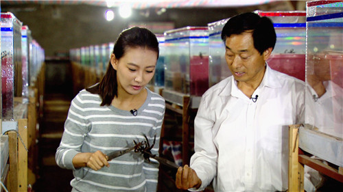 cctv4《流行无限》8月9日晚22:00播出"毒虫大王"罗永林》