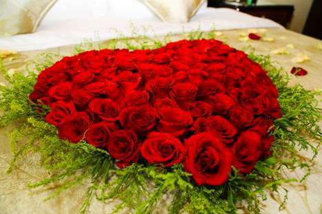 蓝米联盟致青春创始人佳佳豪华生日宴会引关注