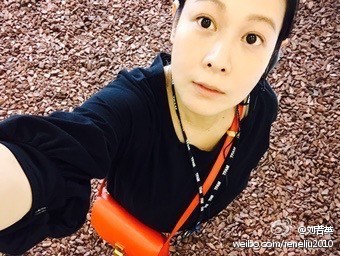 图片来源:刘若英微博