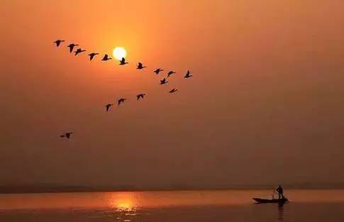 秋雁南飞 又见轮回_共产党员微信 共产党员易信_共产党员网