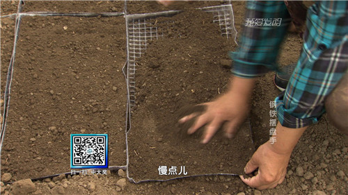 《我爱发明》9月10日预告:钢铁摆盘手_科教_