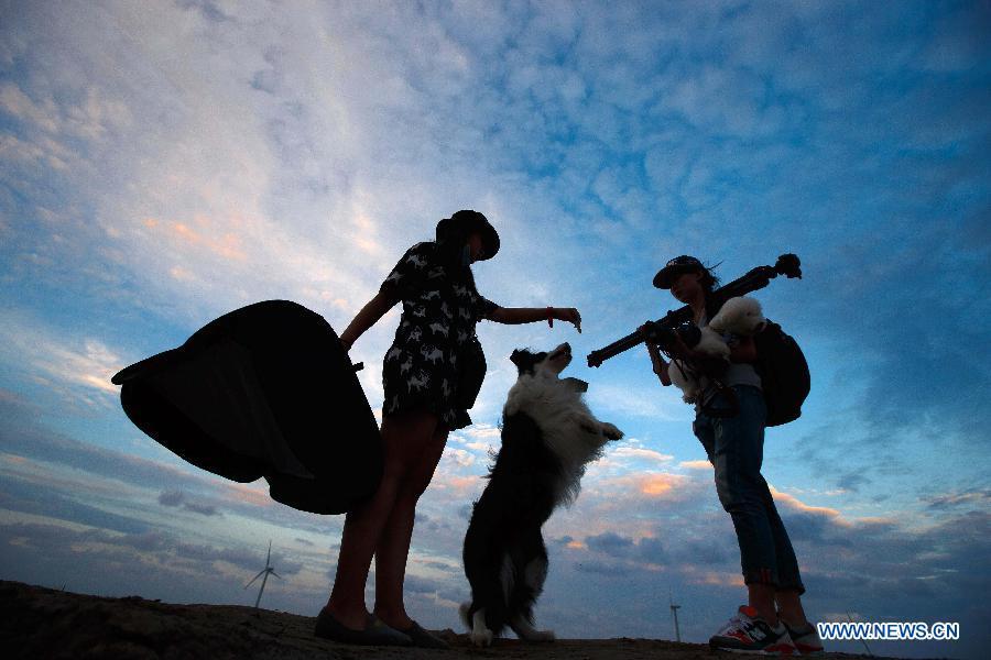 Deux photographes spécialisées pour anima