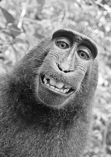 文化:人大教授与学生决裂 <em>天津大学开恋爱课</em>_