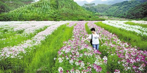 [广西]上林县农家乐成靓丽风景