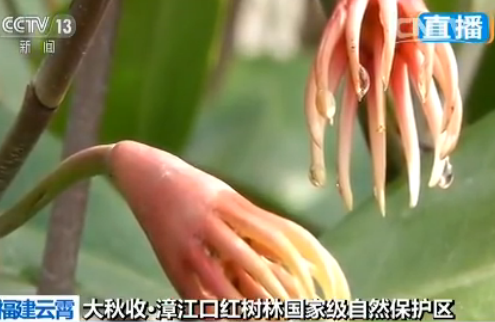 收入证明范本_支出收入表格_养殖户怎么提高收入(3)