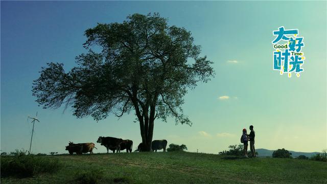 《大好时光》热播 欢喜冤家在崩溃中找到真爱