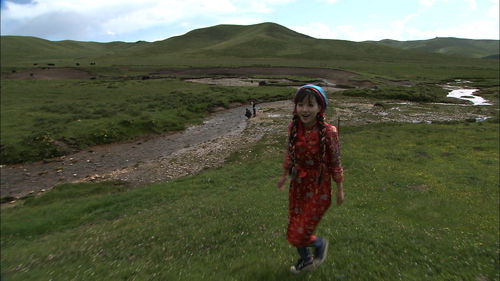 《文明密码》情归高原牧场(20151116)_科教_央视网(cctv.com)