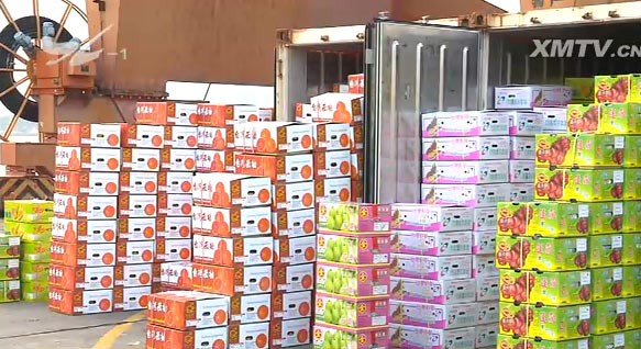 福建自贸区厦门片区进口水果量大增 台湾水果