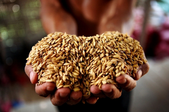 我国人均水资源_我国人均粮食达到(3)