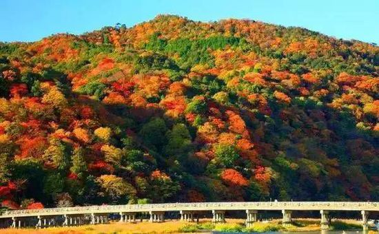 带着地图介绍十座日本唯美小镇_旅游_央视网