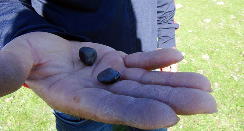 叙利亚战争_叙利亚战争中的孩子_叙利亚人均收入(3)