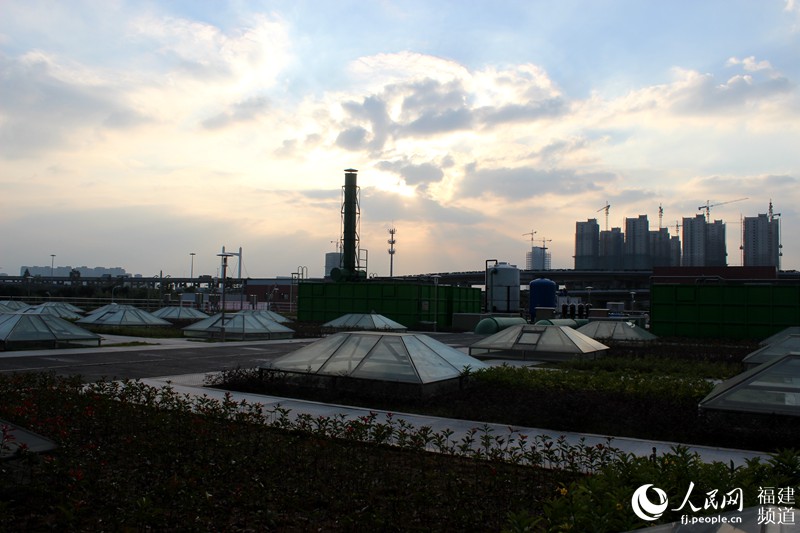 福州市民参与环保宣传。福州市委宣传部供图