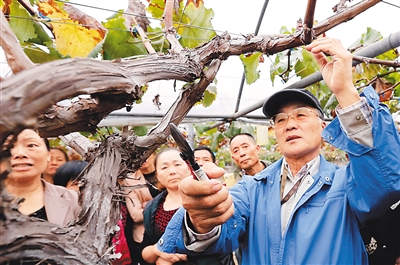 中国拟设友谊勋章褒奖对华作出杰出贡献的外