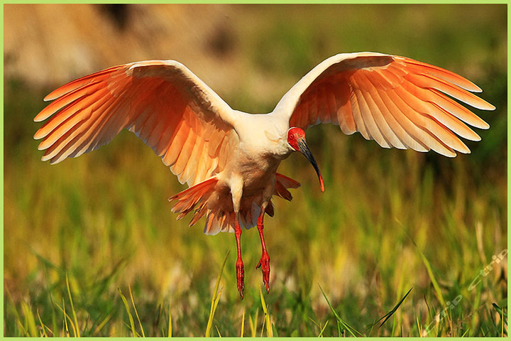 《地理中国》探秘聚宝盆(20160112-0113)_科