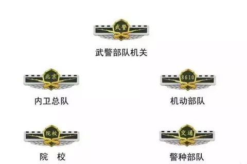 早啊!新闻来了_新闻_央视网(cctv.com)
