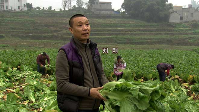 致富经:命运从捡钱包开始改变 3月9日