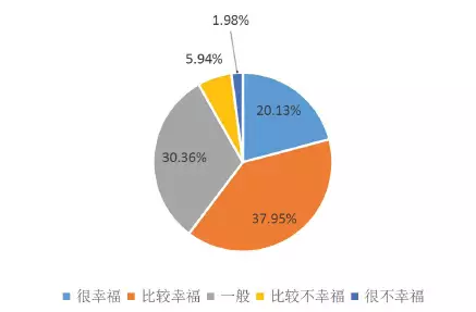 收入证明_重要性水平 收入