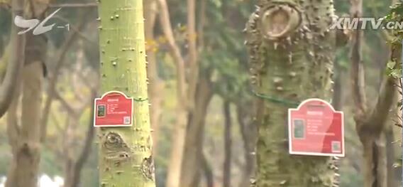 树木有了二维码身份证:打造线上线下厦门绿化