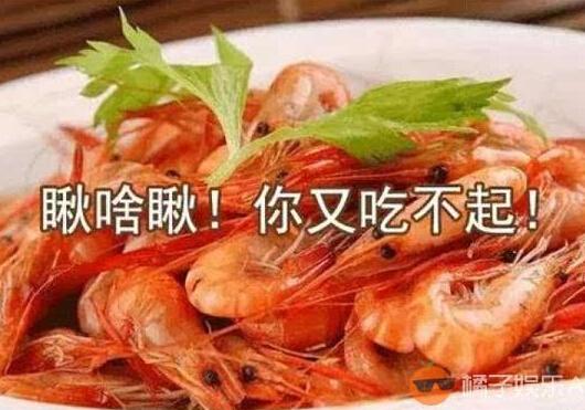 天价虾之后又现天价马:“骑马1元”,按秒算