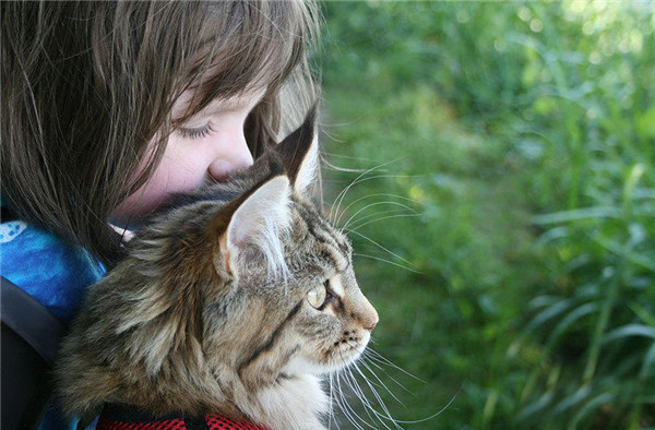 a increíble historia entre una nia autista y su g