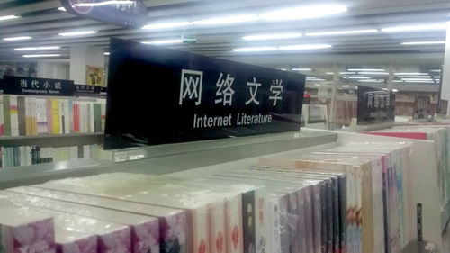 中国网络文学年度评选:言情小说占8成 题材涵