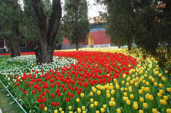 Beijing