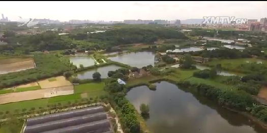 我国人均水资源_厦门大学宿舍_厦门人均月收入(2)