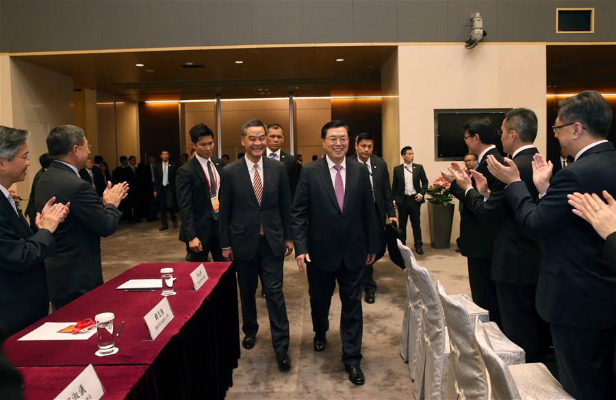Zhang Dejiang, chairman of the Standing Committee of China