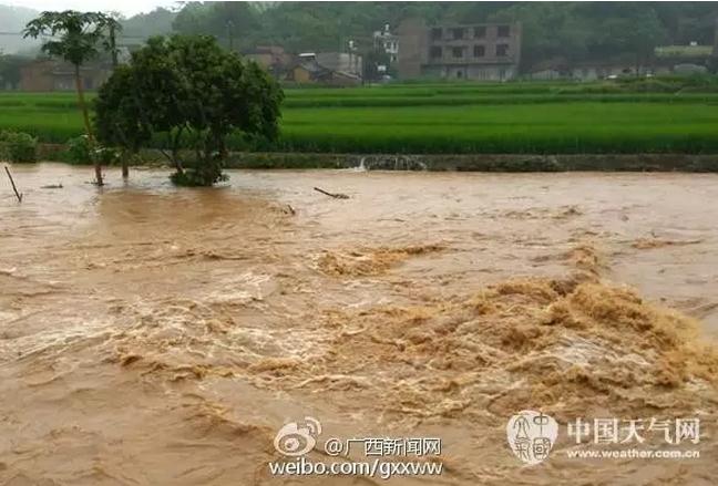 今晚联播看什么丨中国人是否讲诚信?看权威报