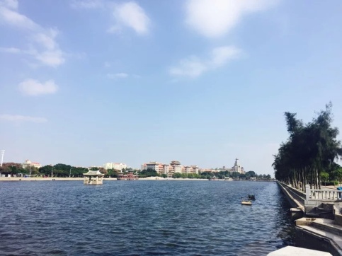 3043 《That day》厦门外国语学校湖里分校 朱