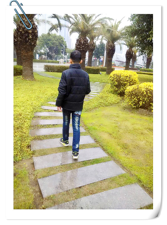 那些熟悉的语言》 厦门外国语学校湖里分校 黄