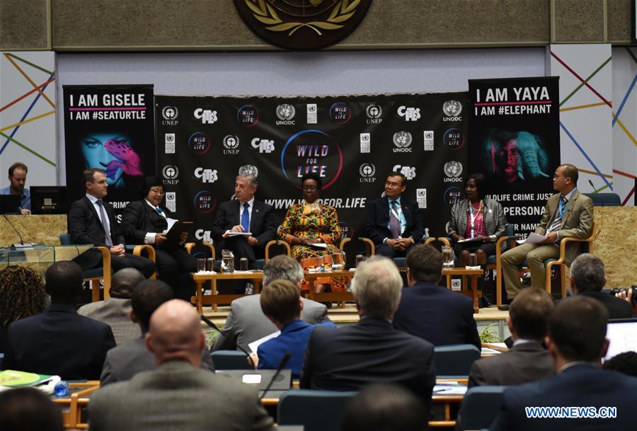 NAIROBI, May 25, 2016 (Xinhua) -- Photo taken on May 25, 2016 shows a ministerial conference about illegal wildlife trade of the ongoing second edition of the United Nations Environment Assembly (UNEA2) in Nairobi, capital of Kenya. The United Nations (UN) in partnership with celebrities on Wednesday launched a new campaign, dubbed "Wild for Life", to re-invigorate the fight against illegal wildlife trade. According to latest UNEP statistics, illegal wildlife trade is worth up to 20 billion U.S. dollars annually, and is one of the largest illegal trades in the world, along with trafficking of drugs, arms, and humans. And an estimated 170 tonnes of ivory was illegally exported out of Africa from 2009 to 2014. (Xinhua/Li Baishun) 