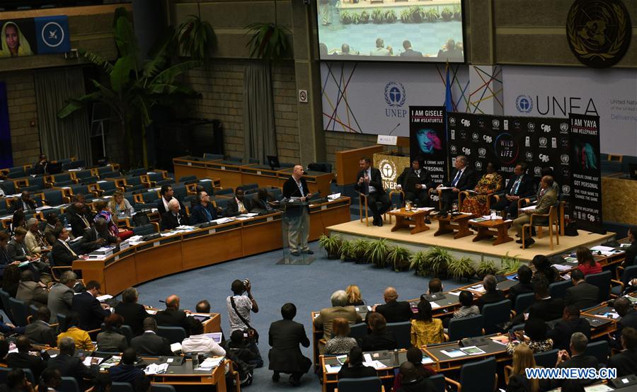 NAIROBI, May 25, 2016 (Xinhua) -- Photo taken on May 25, 2016 shows a ministerial conference about illegal wildlife trade of the ongoing second edition of the United Nations Environment Assembly (UNEA2) in Nairobi, capital of Kenya, The United Nations (UN) in partnership with celebrities on Wednesday launched a new campaign, dubbed "Wild for Life", to re-invigorate the fight against illegal wildlife trade. According to latest UNEP statistics, illegal wildlife trade is worth up to 20 billion U.S. dollars annually, and is one of the largest illegal trades in the world, along with trafficking of drugs, arms, and humans. And an estimated 170 tonnes of ivory was illegally exported out of Africa from 2009 to 2014. (Xinhua/Li Baishun) 