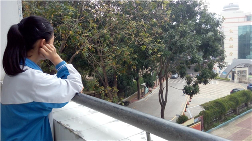 3128 《藏在压力下de爱》 厦门海沧实验中学 刘琳_台海网络广播电视台