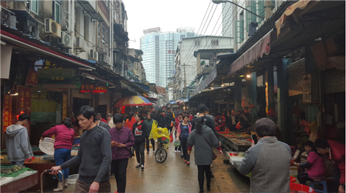 1125 《厦门“八市”》 厦门第二实验小学分校 林睿雯