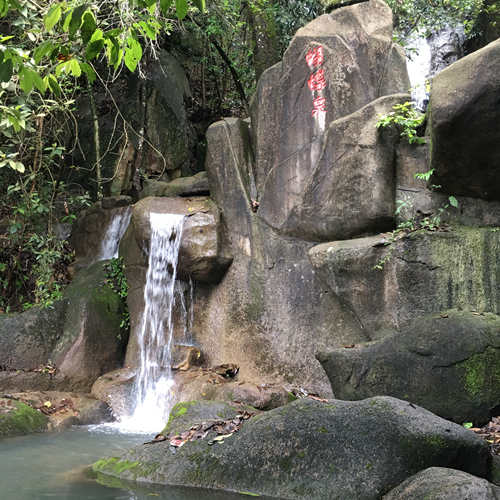 1163 《鹅仙洞游记》 湖明小学 陈宸_台海网络广播电视台