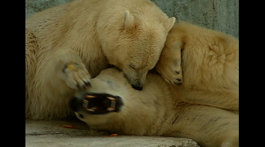 最新传奇私服网站游戏截图1