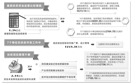 收入支出明细表模板_预算收入和支出审计(3)
