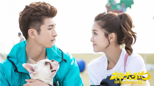 《神犬小七第二季》曝病毒视频超洗脑_综艺_