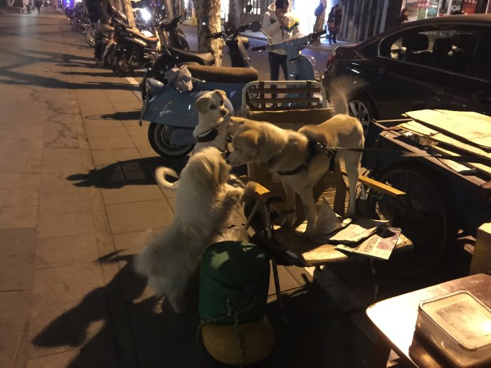 Cui Hengyi was on downtown Anfu Road as he has been everyday for the past decade. The garbage collector says he has helped some 3,000 stray dogs and cats