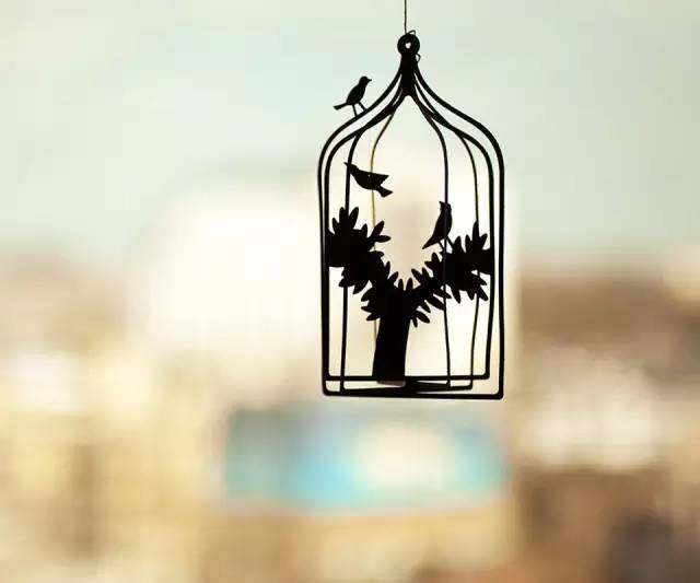 夜读:你要光明,你自己去造_新闻_央视网(cctv.c