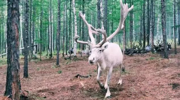 最野假期趣味课堂:野外生存小妙招
