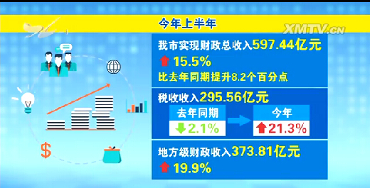 财政收入_本级财政总收入(3)