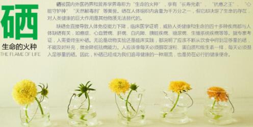 倡导科学补硒 广东格旺助力富硒产业发展